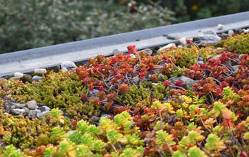 the cost of Lower Seagry green roof installation