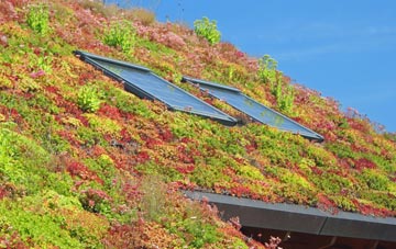 Lower Seagry living roof systems