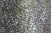 Lower Seagry fibreglass roof work